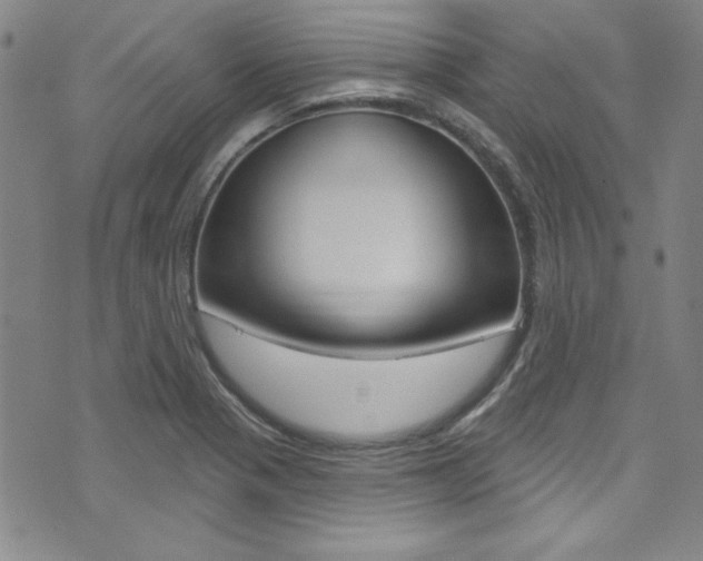 X0000074021321200608211059