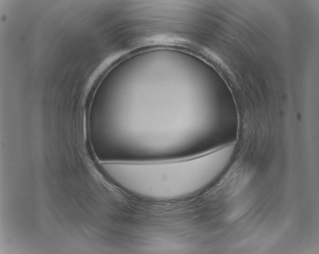 X0000074021323200608211059