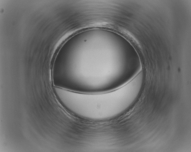 X0000074021324200608211059
