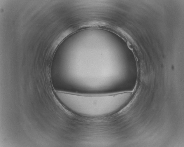 X0000074021329200608211059