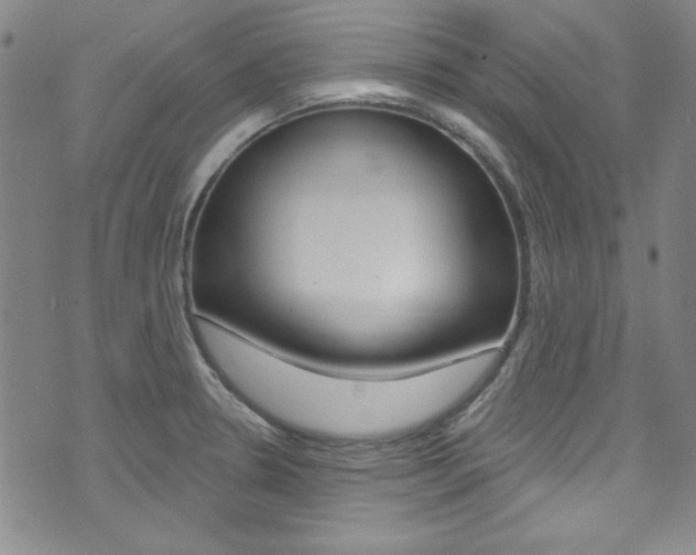 X0000074021330200608211059