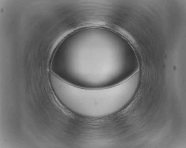X0000074021332200608211059