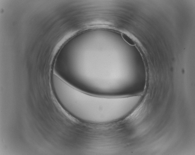 X0000074021333200608211059