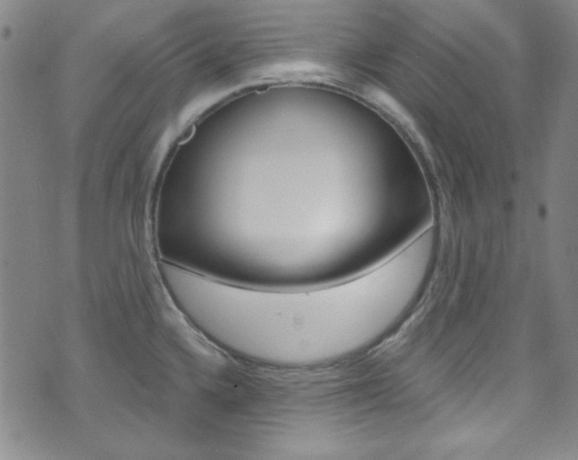 X0000074021336200608211059