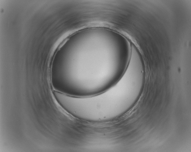 X0000074021342200608211059