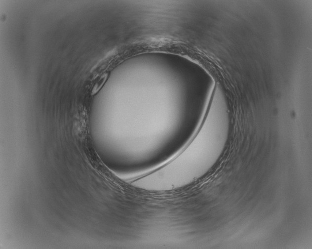 X0000074021349200608211058