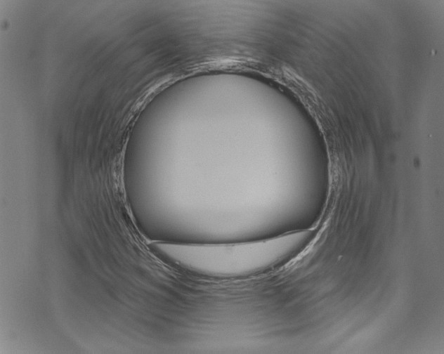 X0000074021353200608211058