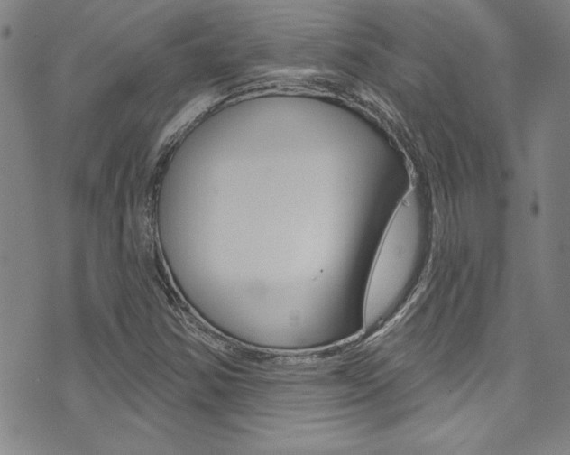 X0000074021354200608211058