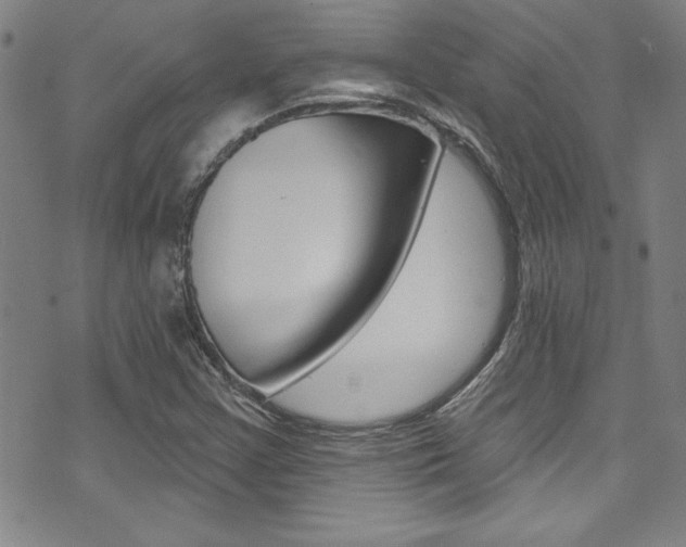 X0000074021355200608211058
