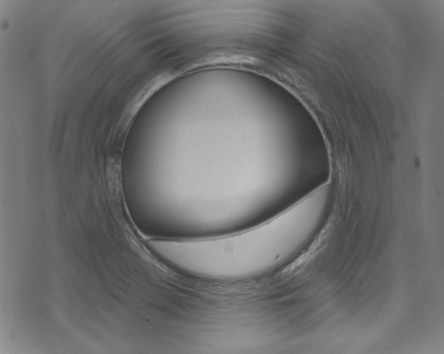 X0000074021369200608211058