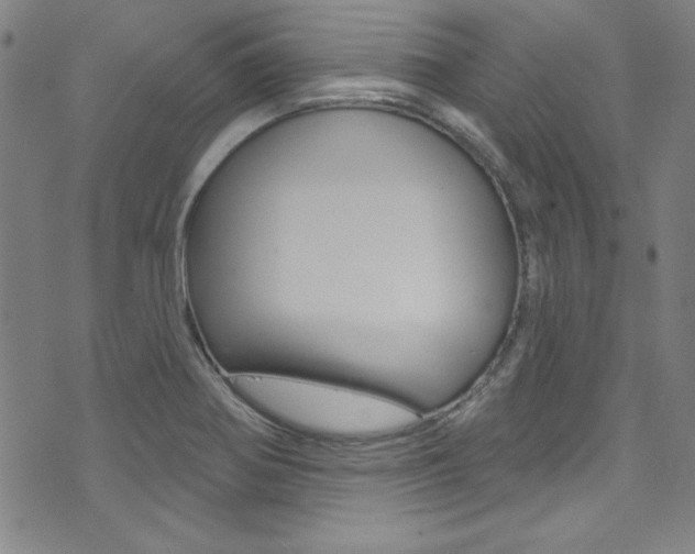 X0000074021370200608211058