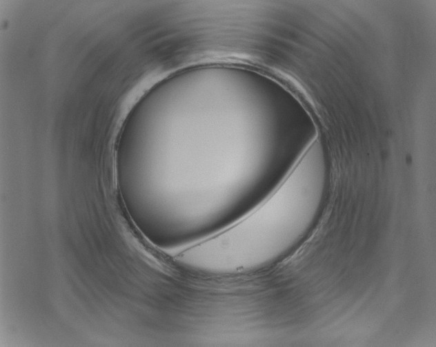 X0000074021371200608211058