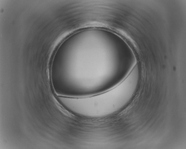 X0000074021372200608211058