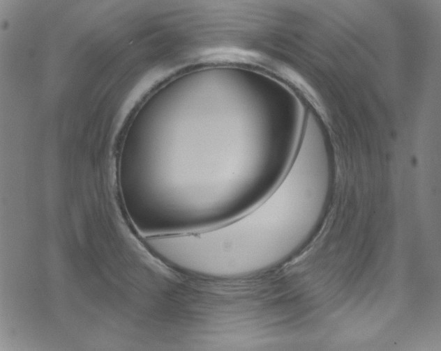X0000074021376200608211058