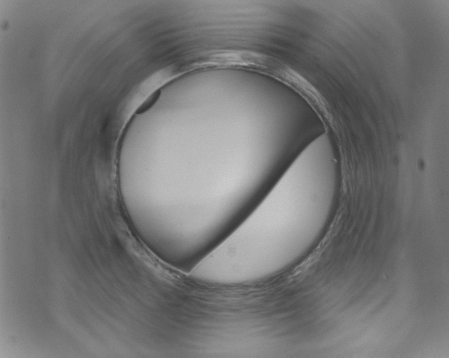 X0000074021378200608211058