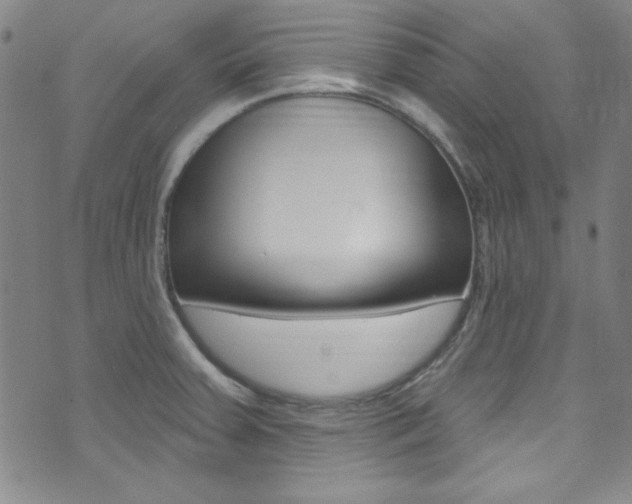 X0000074021379200608211058