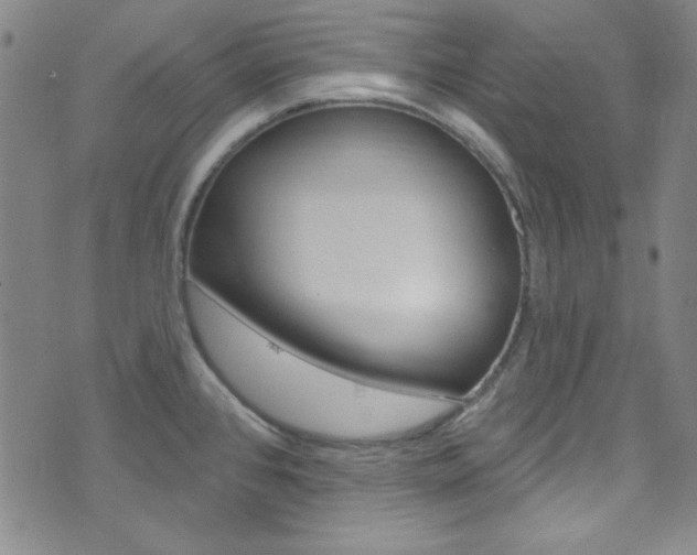 X0000074021384200608211058