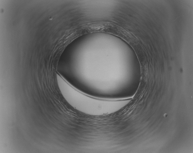 X0000074021394200608211057