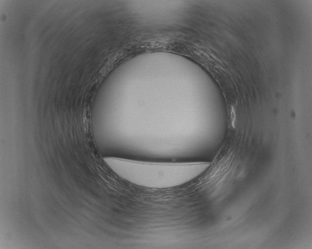 X0000074021395200608211057