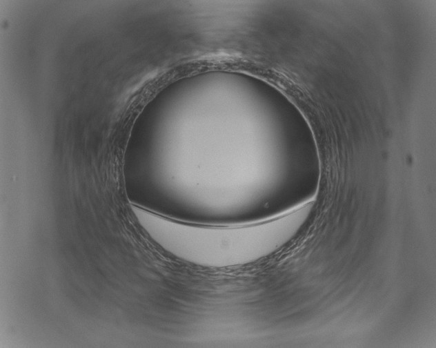 X0000074021398200608211057