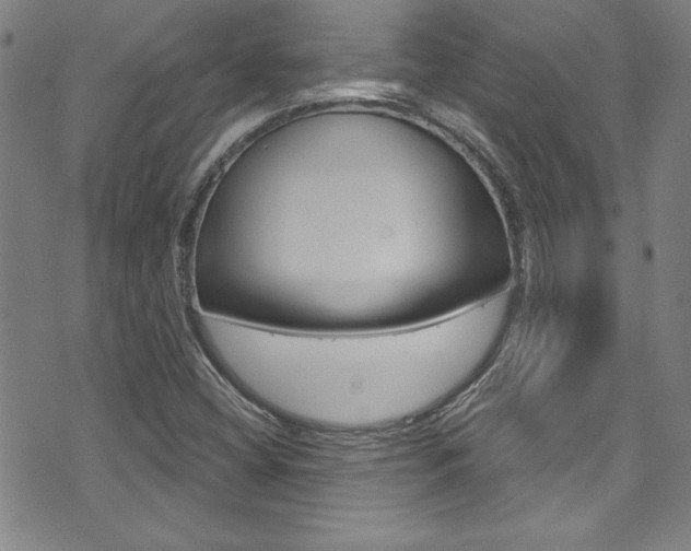 X0000074021404200608211057