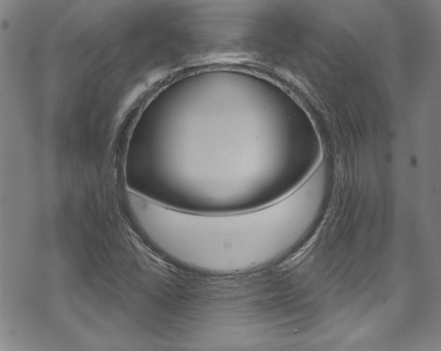 X0000074021406200608211057