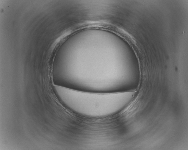 X0000074021411200608211057