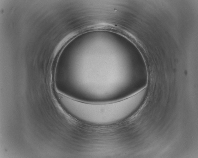 X0000074021418200608211057