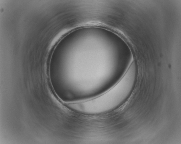 X0000074021422200608211057