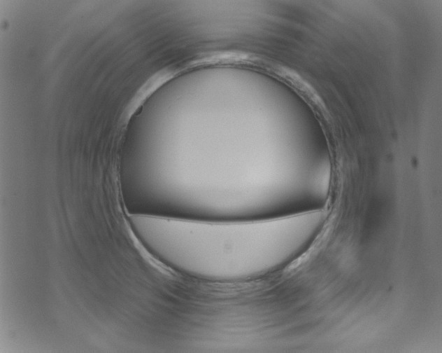 X0000074021425200608211057