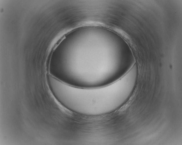 X0000074021430200608211057