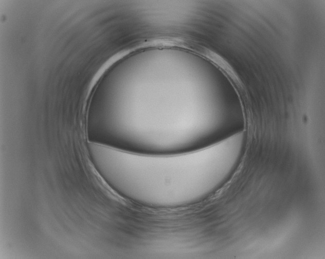 X0000074021436200608211057