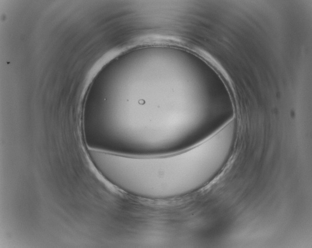 X0000074021437200608211057