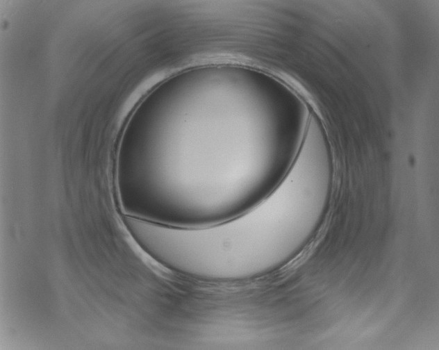 X0000074021438200608211057