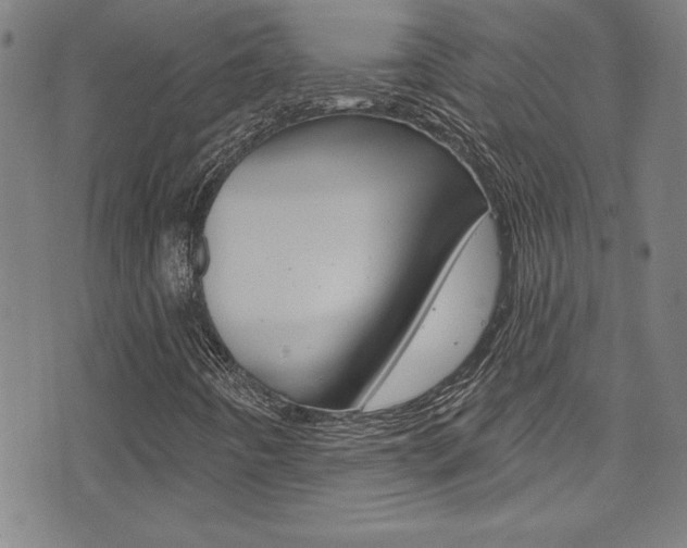 X0000074021442200608211057