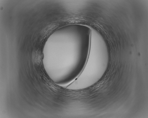 X0000074021444200608211057