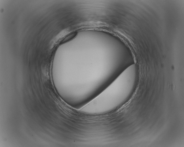 X0000074021451200608211056