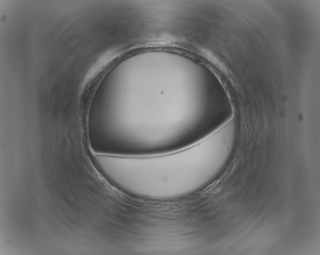 X0000074021456200608211056
