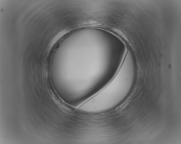 X0000074021458200608211056