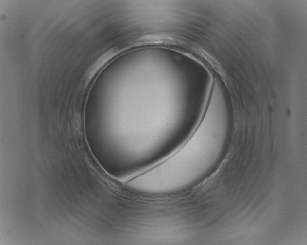 X0000074021465200608211056