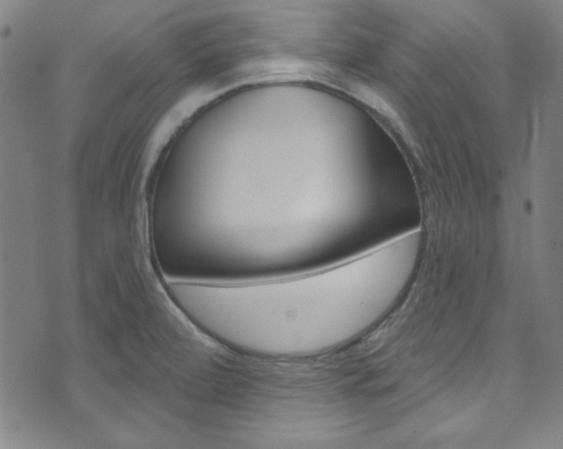 X0000074021472200608211056