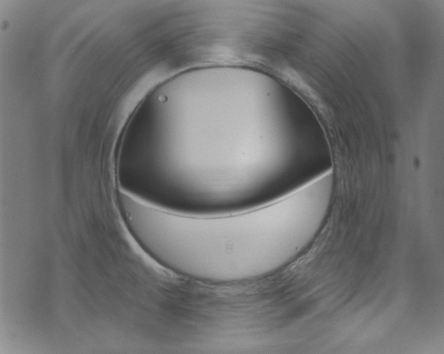 X0000074021479200608211056
