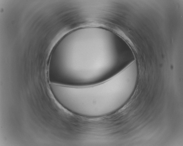 X0000074021484200608211056