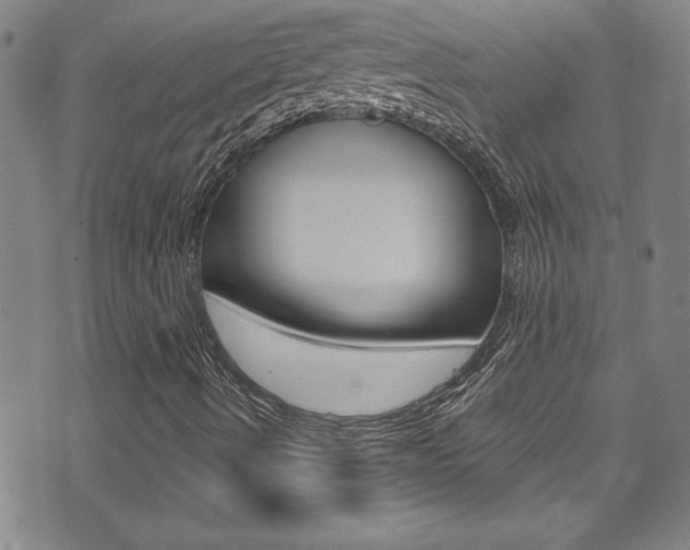 X0000074021490200608211055