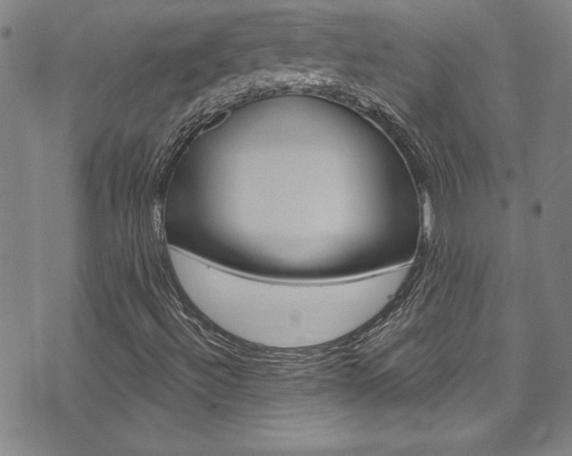 X0000074021492200608211055