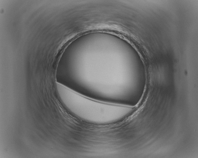 X0000074021497200608211055