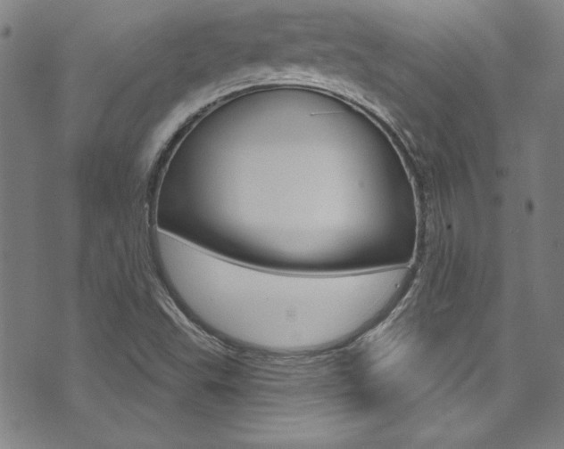 X0000074021503200608211055