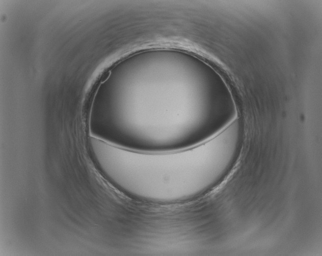 X0000074021506200608211055