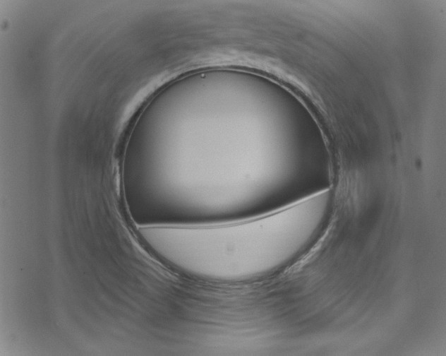 X0000074021509200608211055