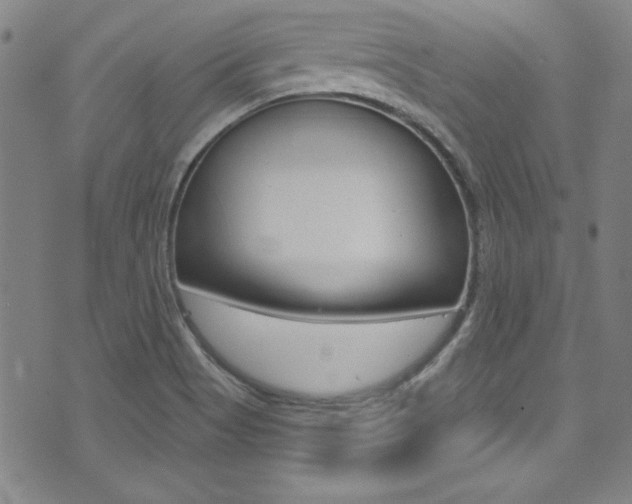 X0000074021513200608211055
